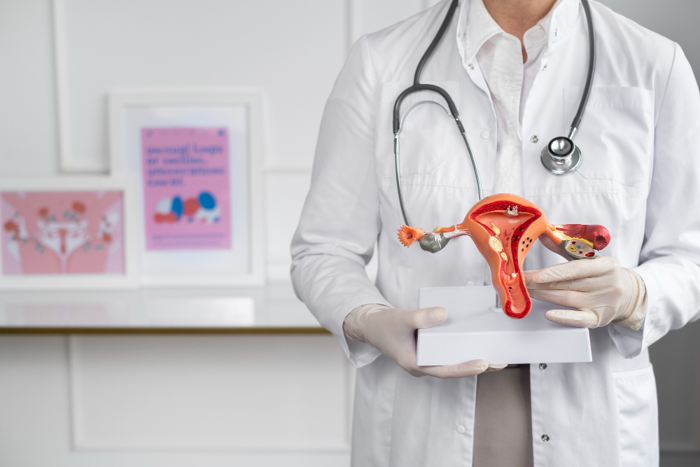 Ayurvedic treatments for Gynecological Problems